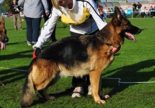 Oliyana Naujavilnietis 1